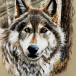 Catherine-Bon---La-Palette-des-Arts-d'Ambronay